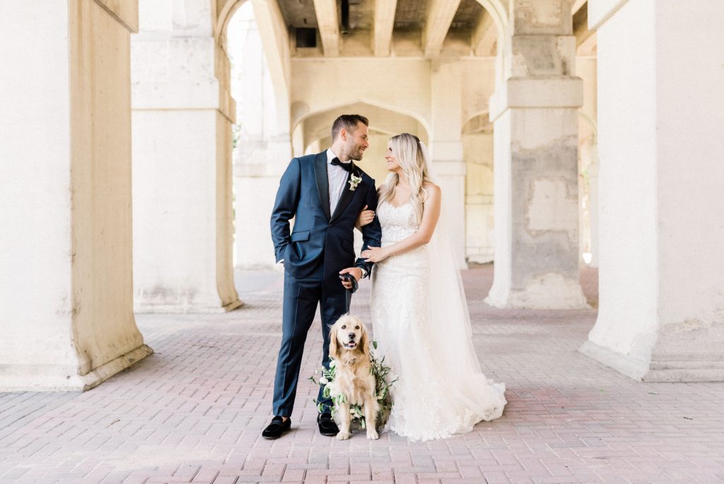 Wedding dog inspiration 