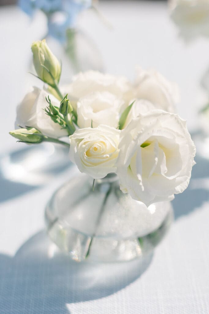 Outdoor wedding | Michigan Wedding Planner