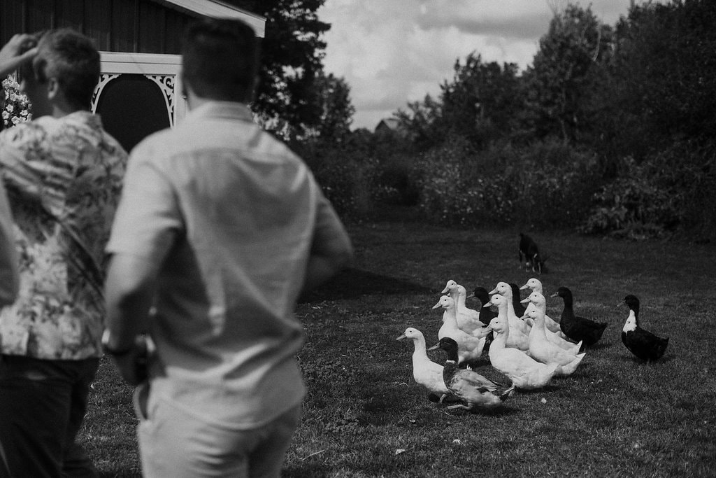 Michigan Barn Wedding Mitten Weddings and Events